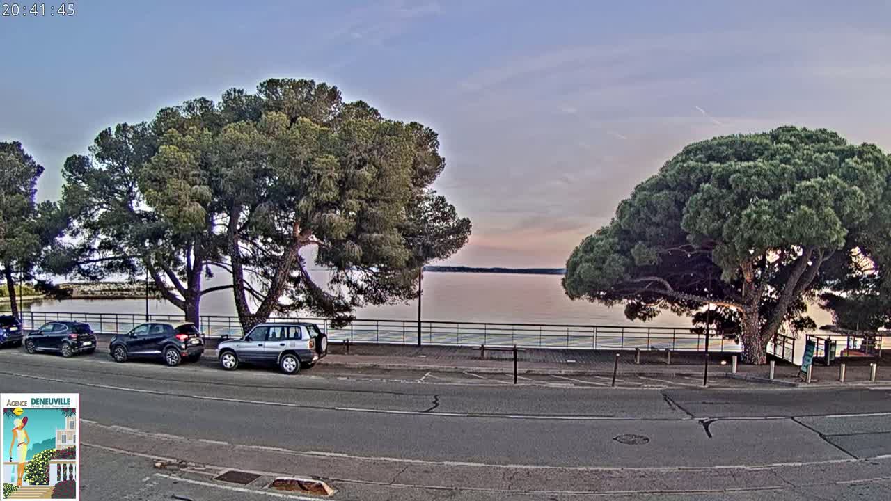 Several cars are parked along a roadside next to a calm body of water under a twilight sky, with large pine trees shading the parking area.