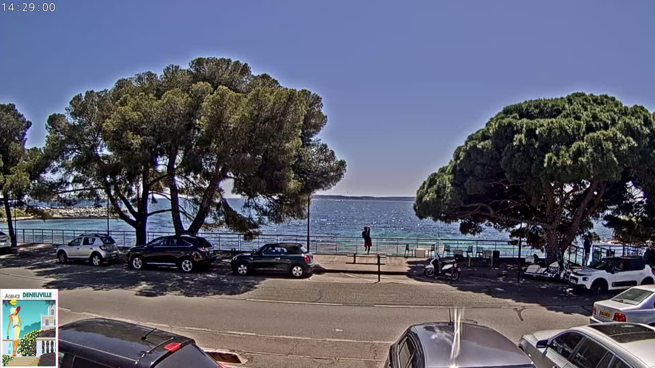 A sunny day shows several cars parked along a road next to a calm blue sea, with large pine trees providing shade.