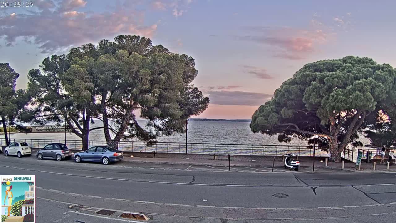 Several cars are parked along a roadside near a calm body of water at sunset, under large pine trees.