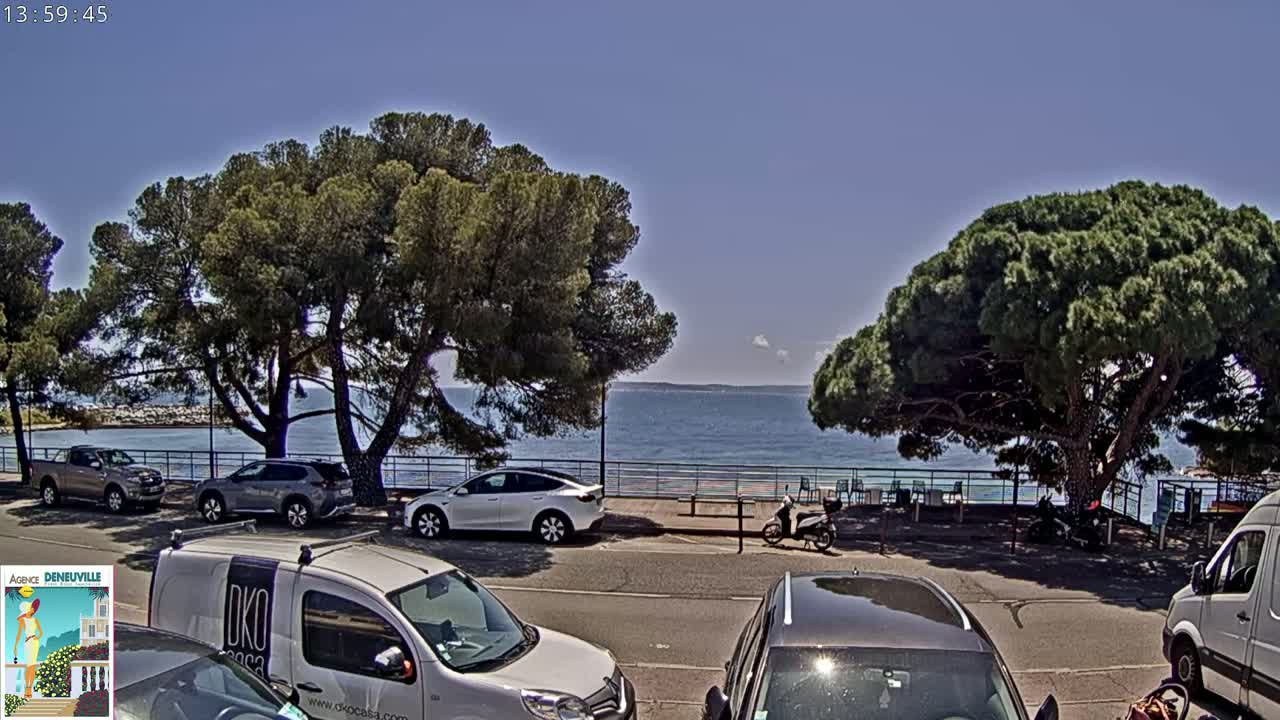 A sunny seaside parking lot with several cars parked under large pine trees, overlooking a calm blue sea.