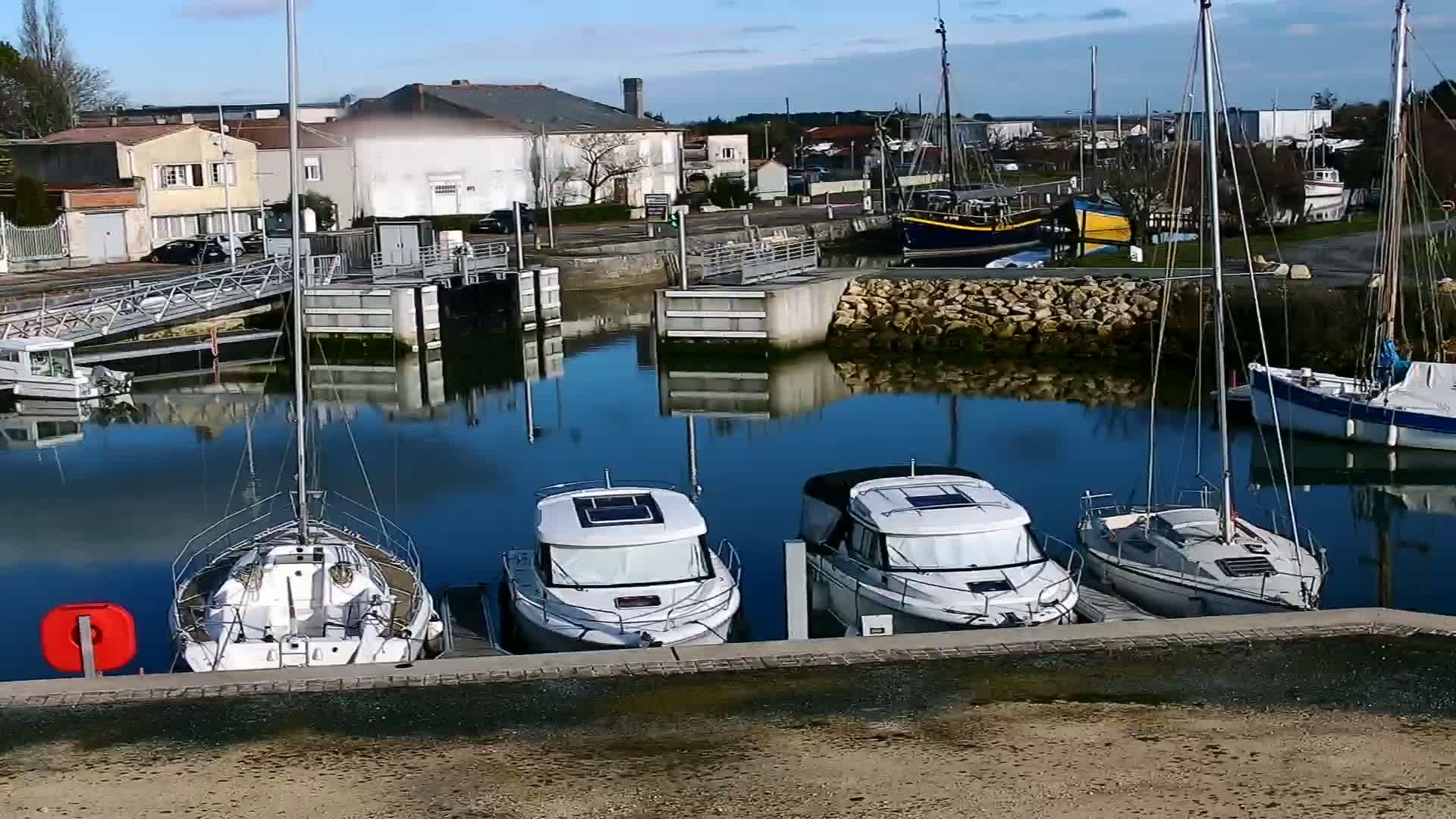 Several sailboats and motorboats are docked in a calm harbor on a sunny day, with buildings and trees visible in the background.