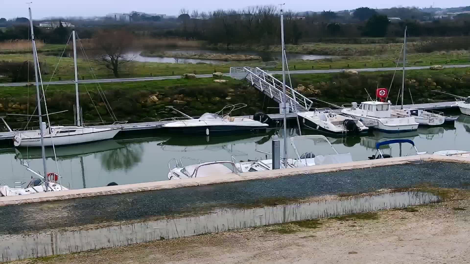 Several sailboats and motorboats are moored in a calm marina next to a waterway under an overcast sky.