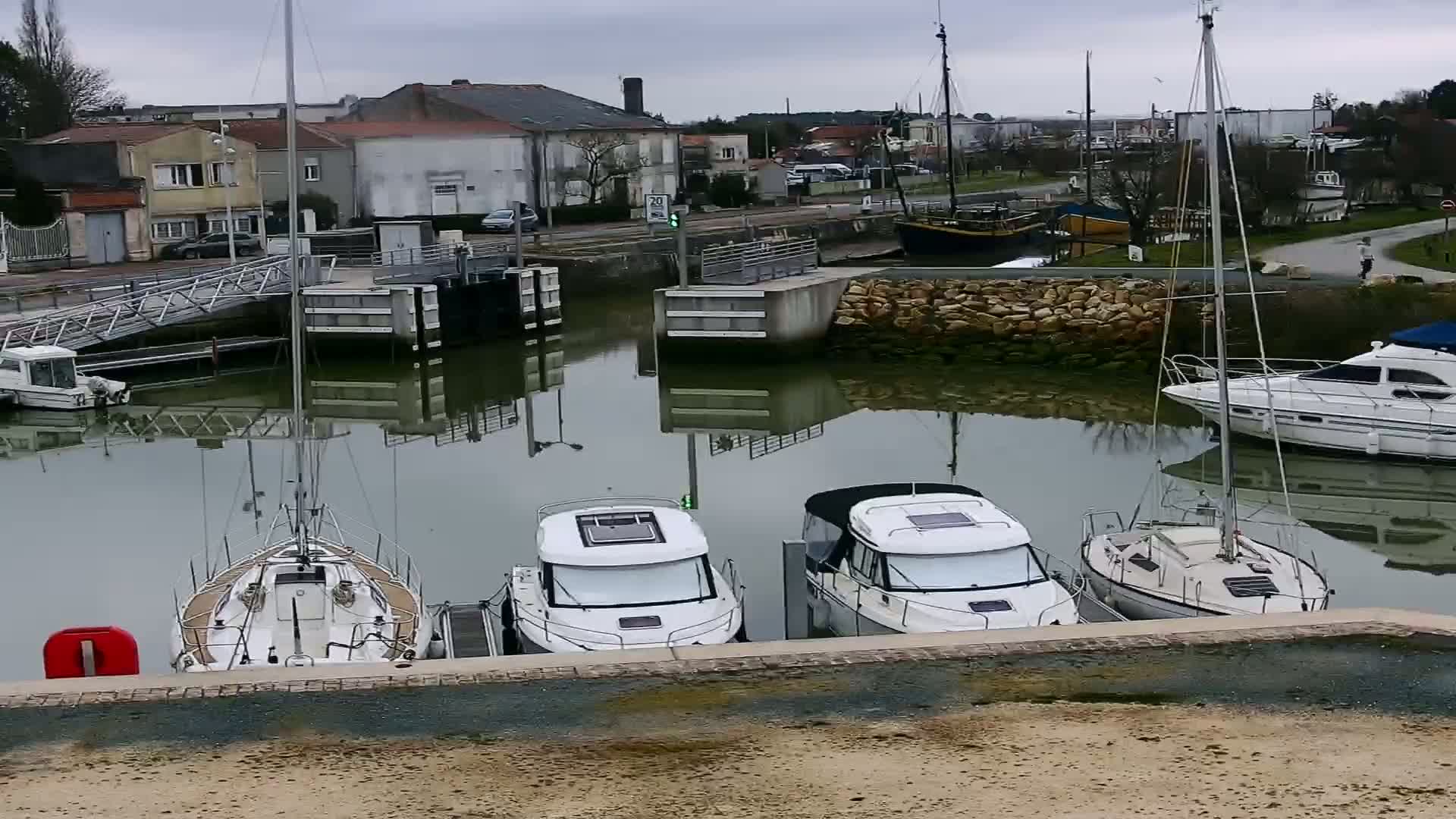 Several sailboats and motorboats are docked in a calm harbor under an overcast sky.