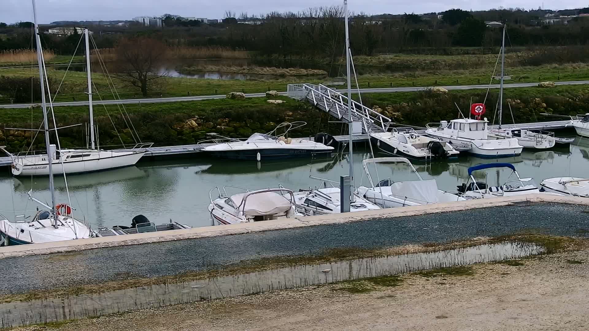 Several sailboats and motorboats are docked in a calm marina on an overcast day.