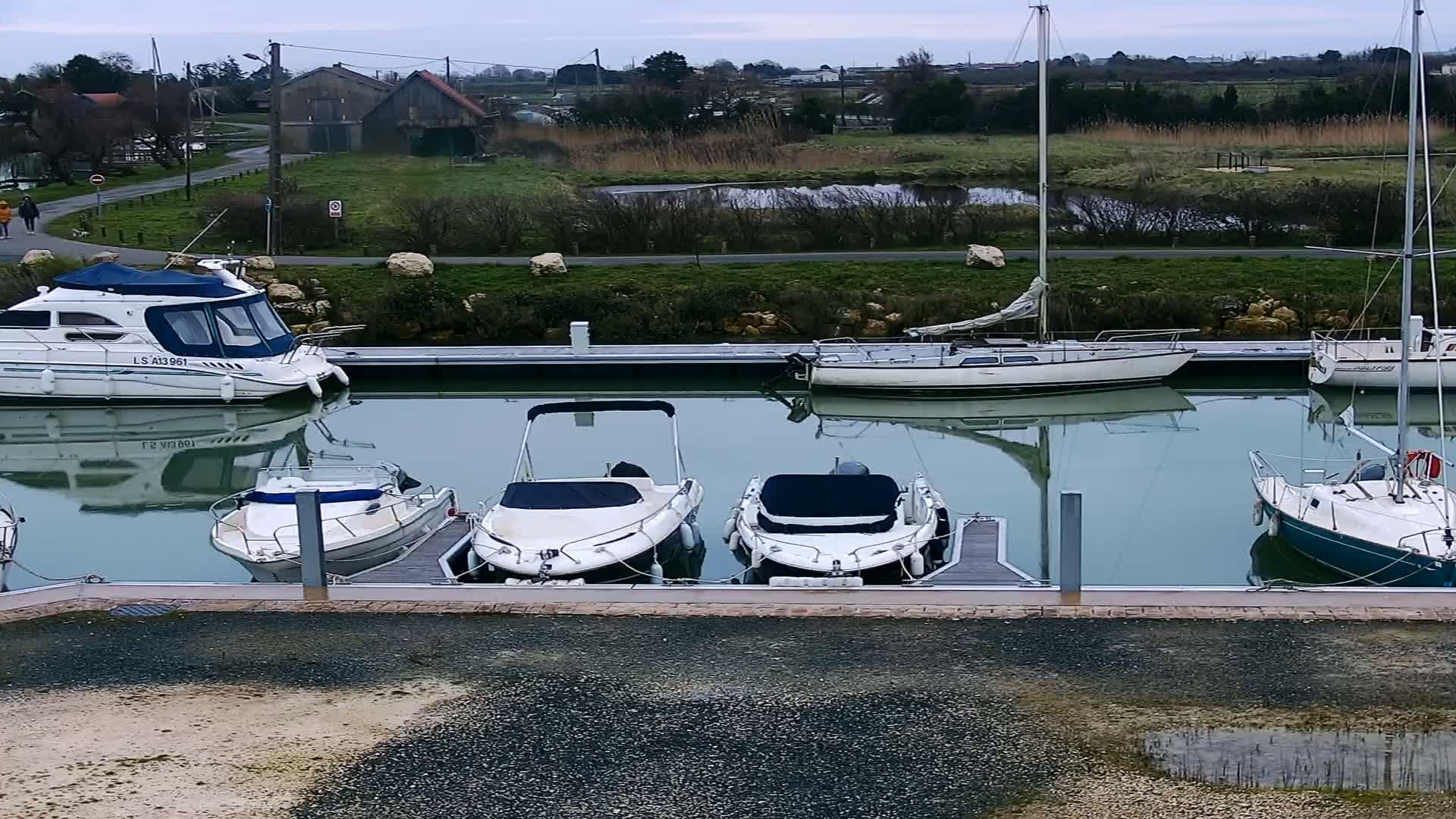Several motorboats and sailboats are docked in a calm marina on an overcast day, with a grassy area and buildings visible in the background.