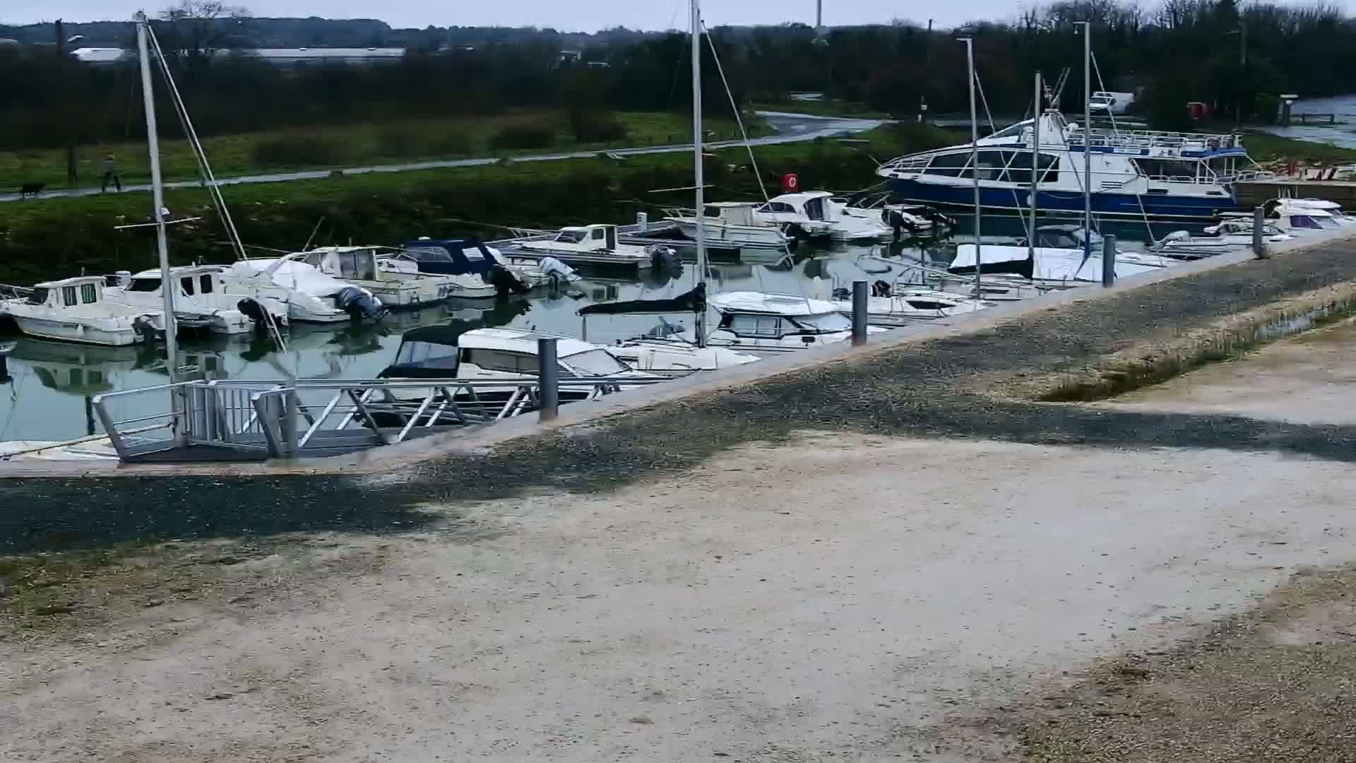 Numerous boats are docked in calm water on an overcast day, with a larger vessel situated prominently among smaller motorboats and sailboats.