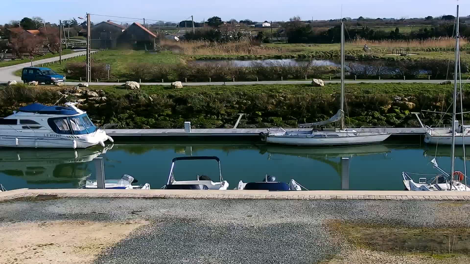 Several boats are moored at a marina on a sunny day, with calm water reflecting the boats and surrounding landscape.