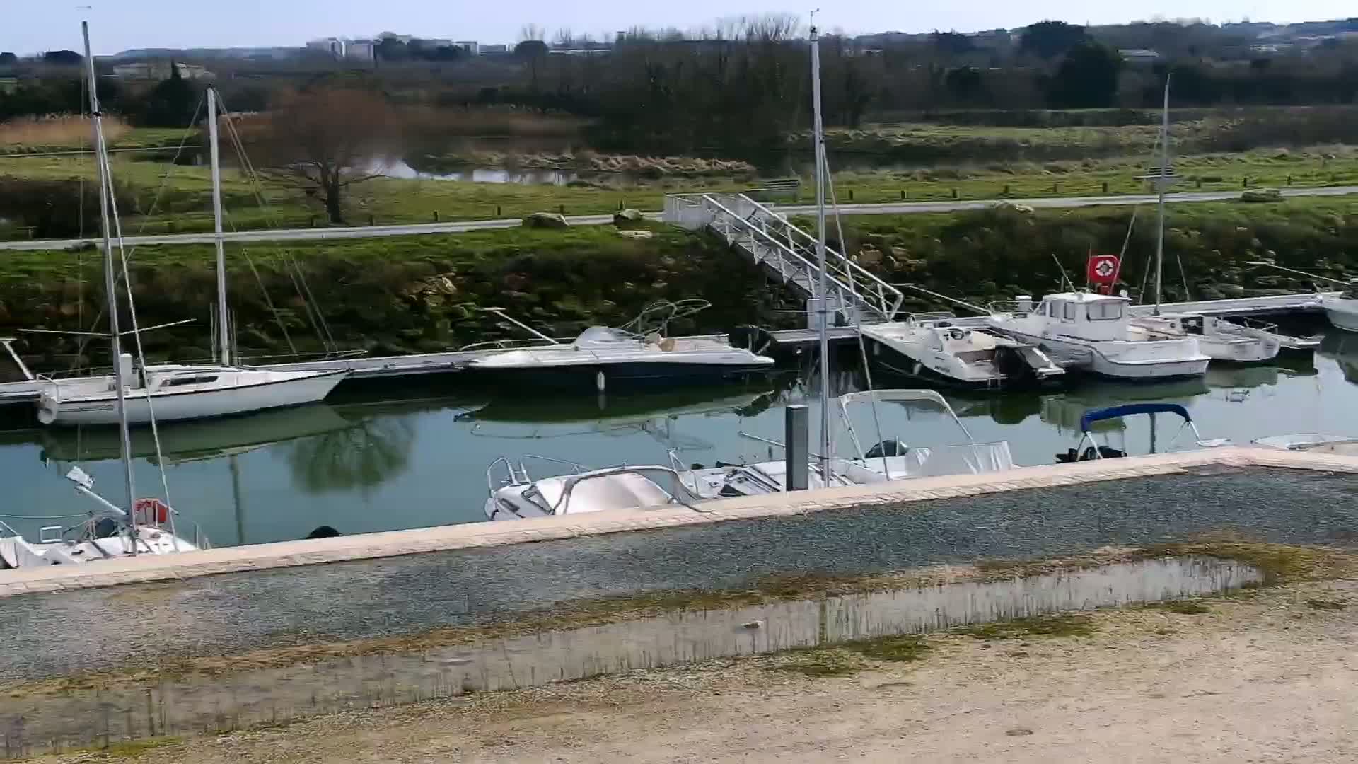 Several sailboats and motorboats are docked in a marina on a sunny day, with calm water reflecting the boats and surrounding greenery.