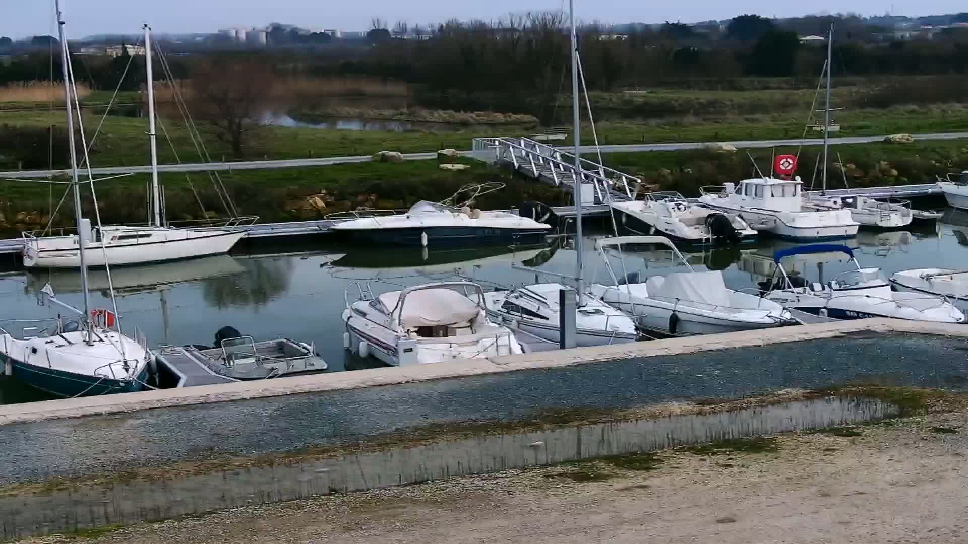Several sailboats and motorboats are docked in a marina on a calm, overcast day.