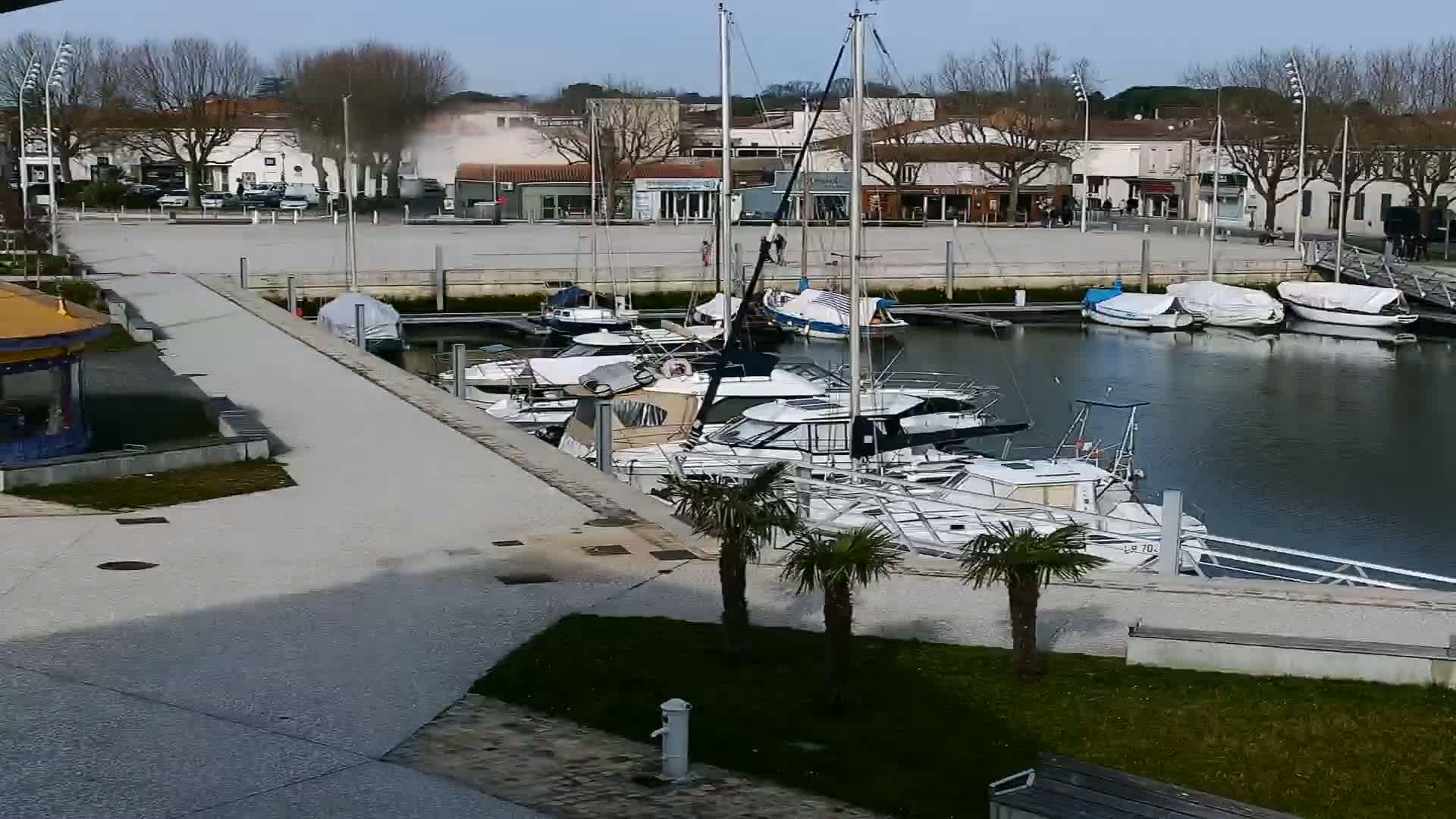 A marina filled with various sized boats is situated next to a paved area with buildings and trees in the background under a clear, sunny sky.