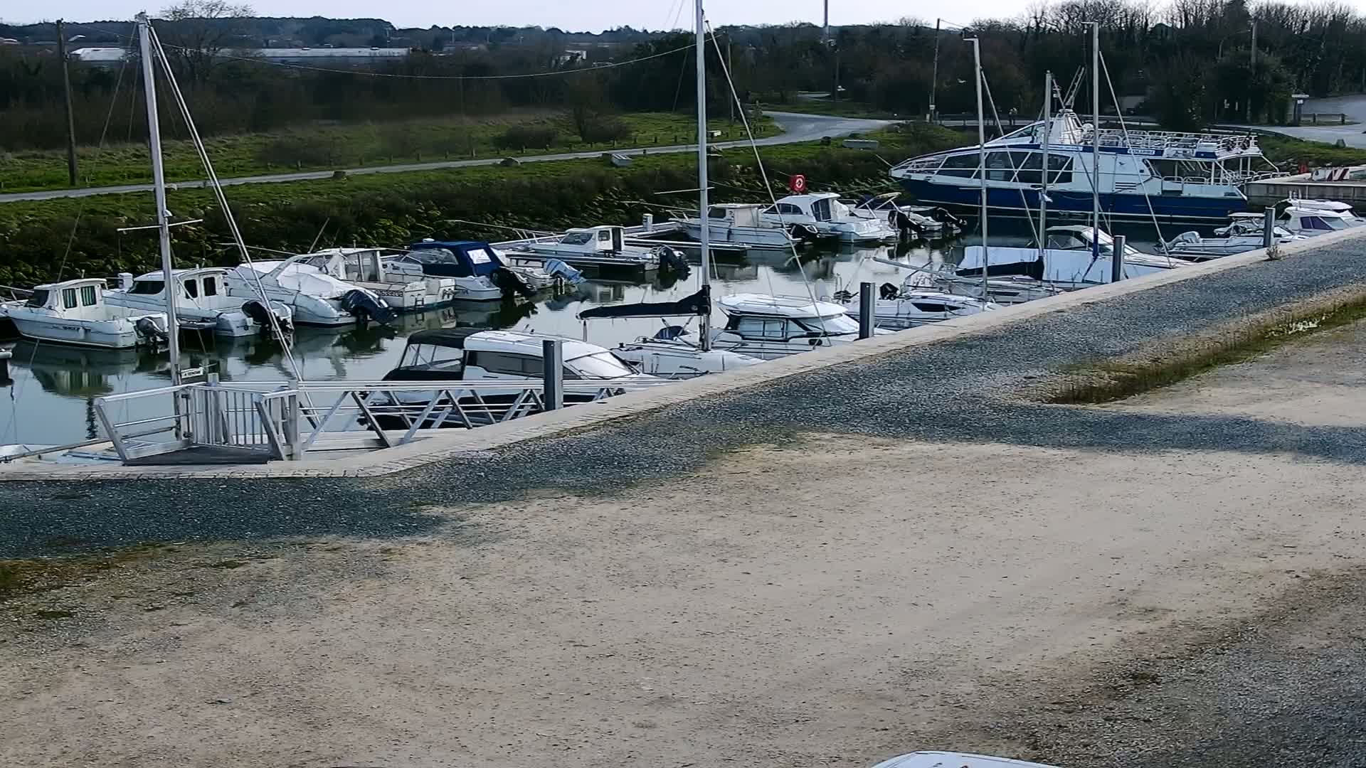Many white motorboats and sailboats are docked in a marina on a calm, sunny day.