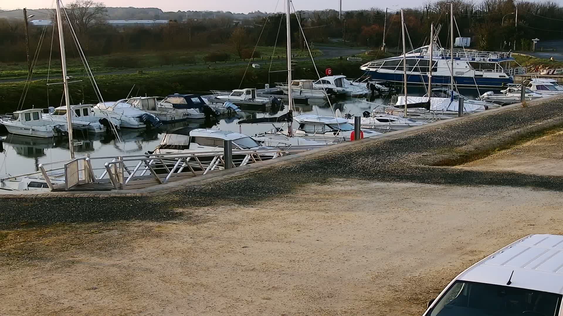 Many white motorboats and sailboats are docked at a marina on a calm, overcast day.
