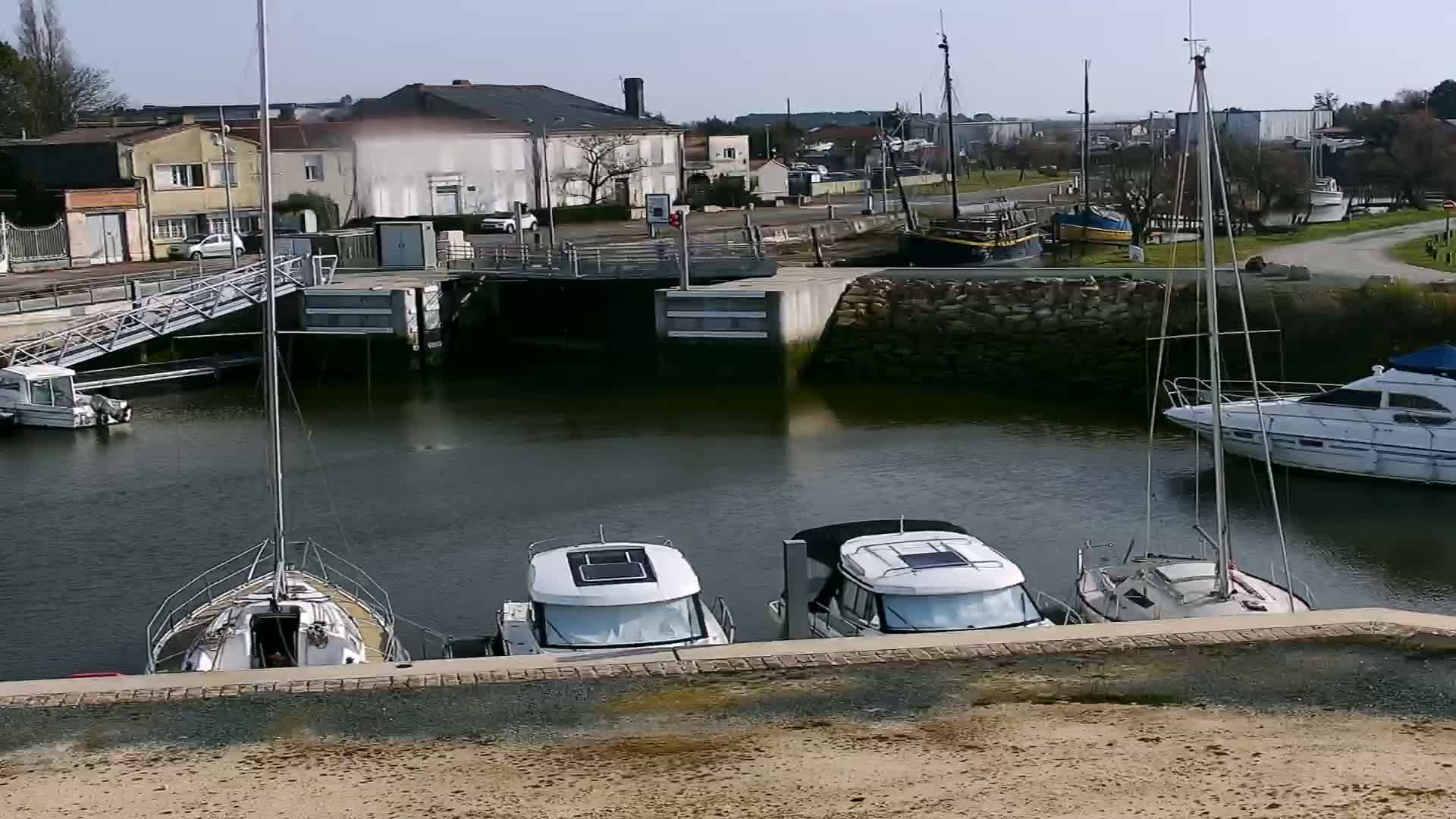 Several boats are moored in a calm harbor on a sunny day, with buildings and other boats visible in the background.