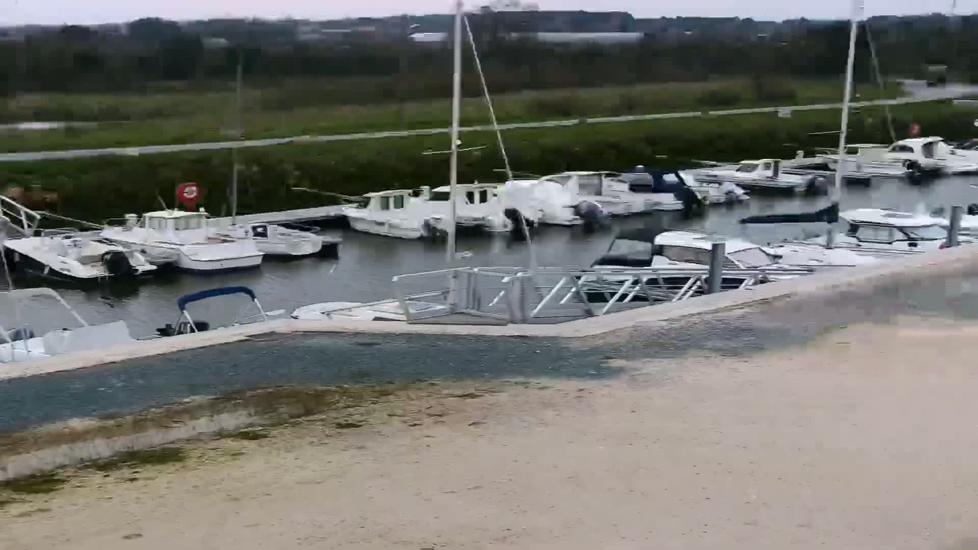 Many white boats are docked in calm water next to a low concrete wall, under an overcast sky.