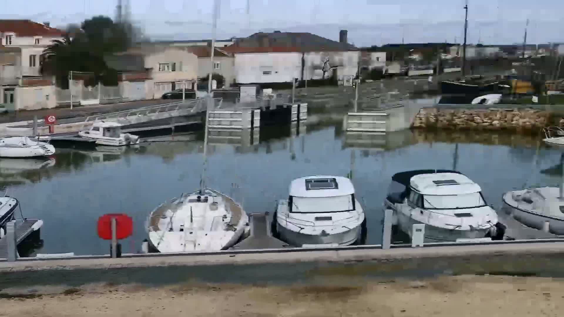 Several boats are moored in a calm harbor next to a residential area on an overcast day.