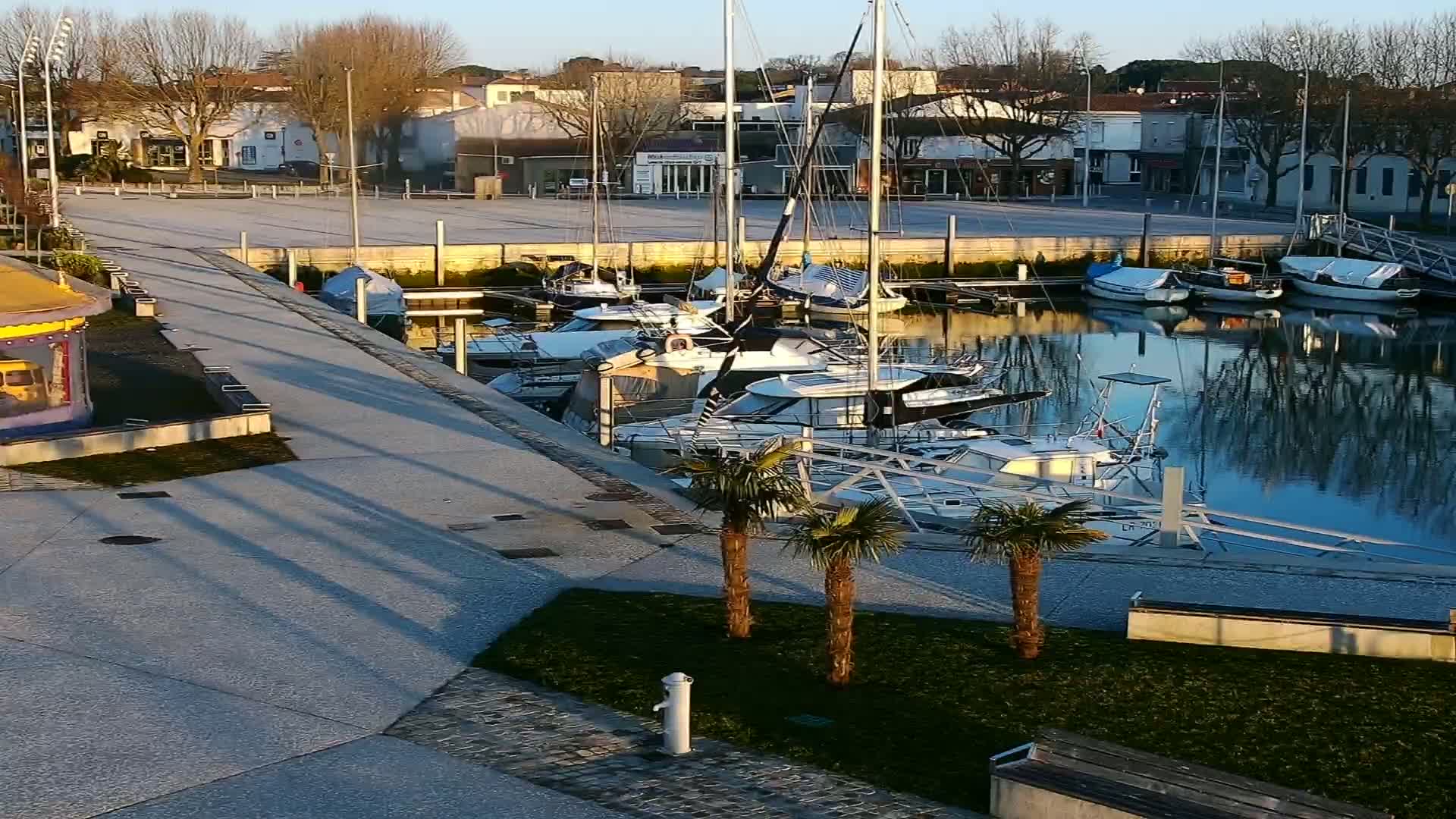 A marina filled with sailboats and motorboats on a calm, sunny day, next to a paved walkway and small park with palm trees.