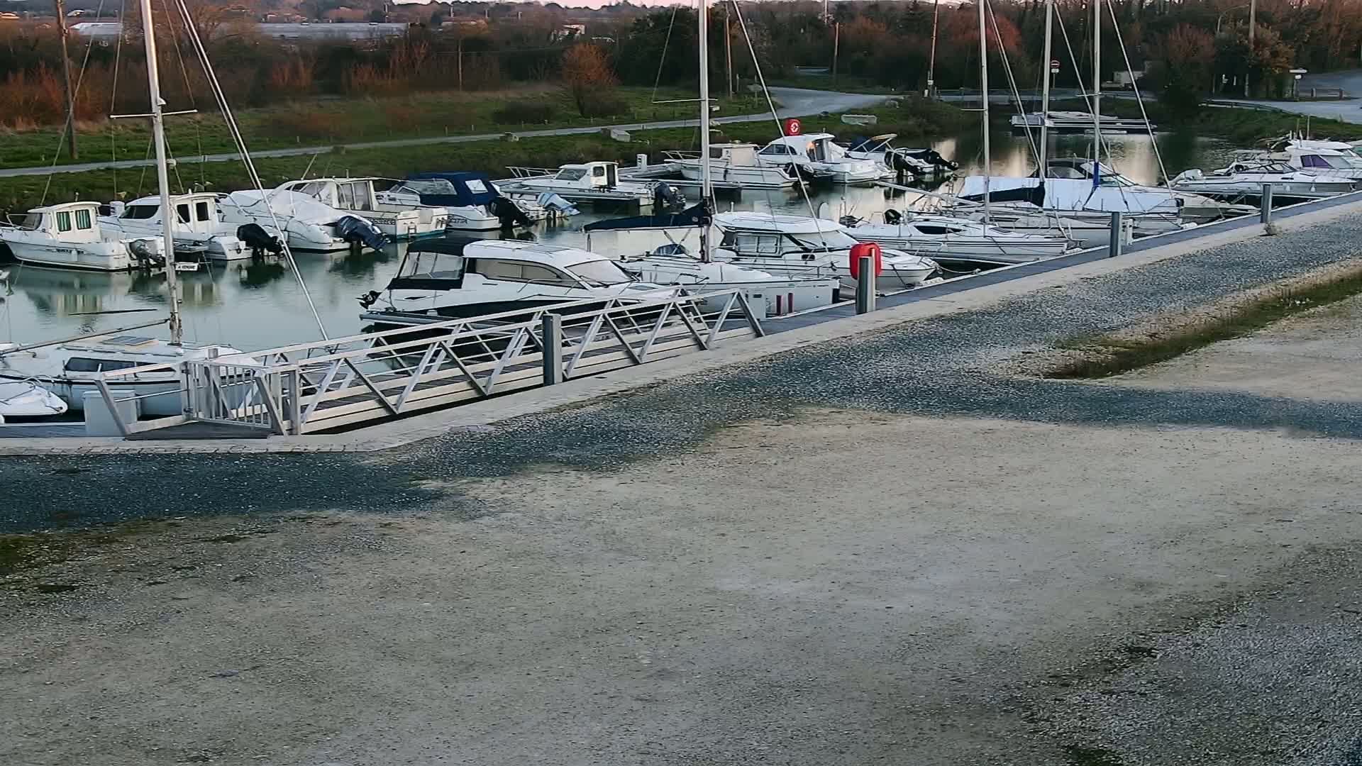 Many white motorboats and sailboats are docked at a marina on calm water under a partly sunny sky.