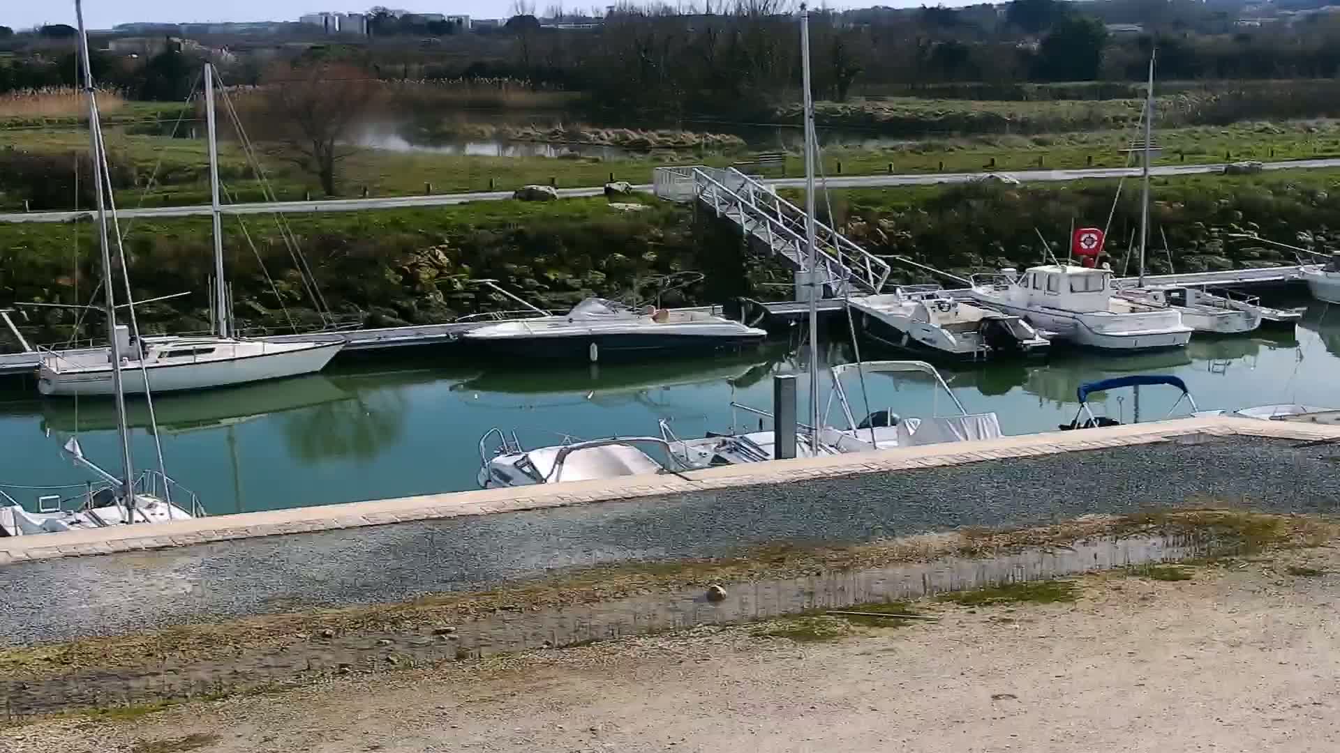 Several sailboats and motorboats are moored in a calm marina on a sunny day.