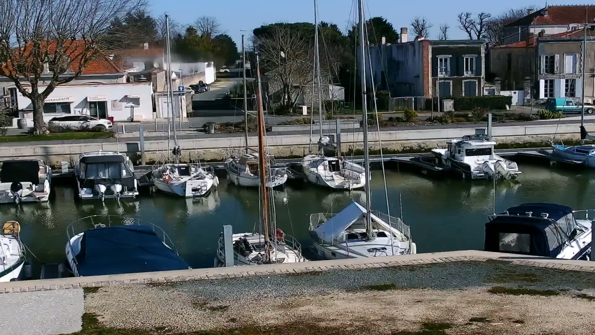 A marina filled with sailboats and motorboats on a sunny day.