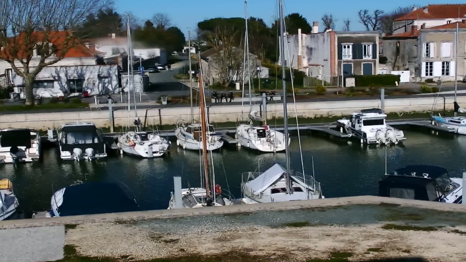 Several sailboats and motorboats are docked in a marina on a sunny day, with buildings and trees visible in the background.
