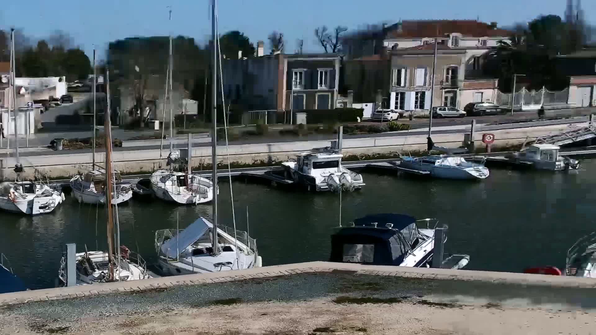 Several sailboats and motorboats are docked in a calm harbor next to a waterfront town on a sunny day.