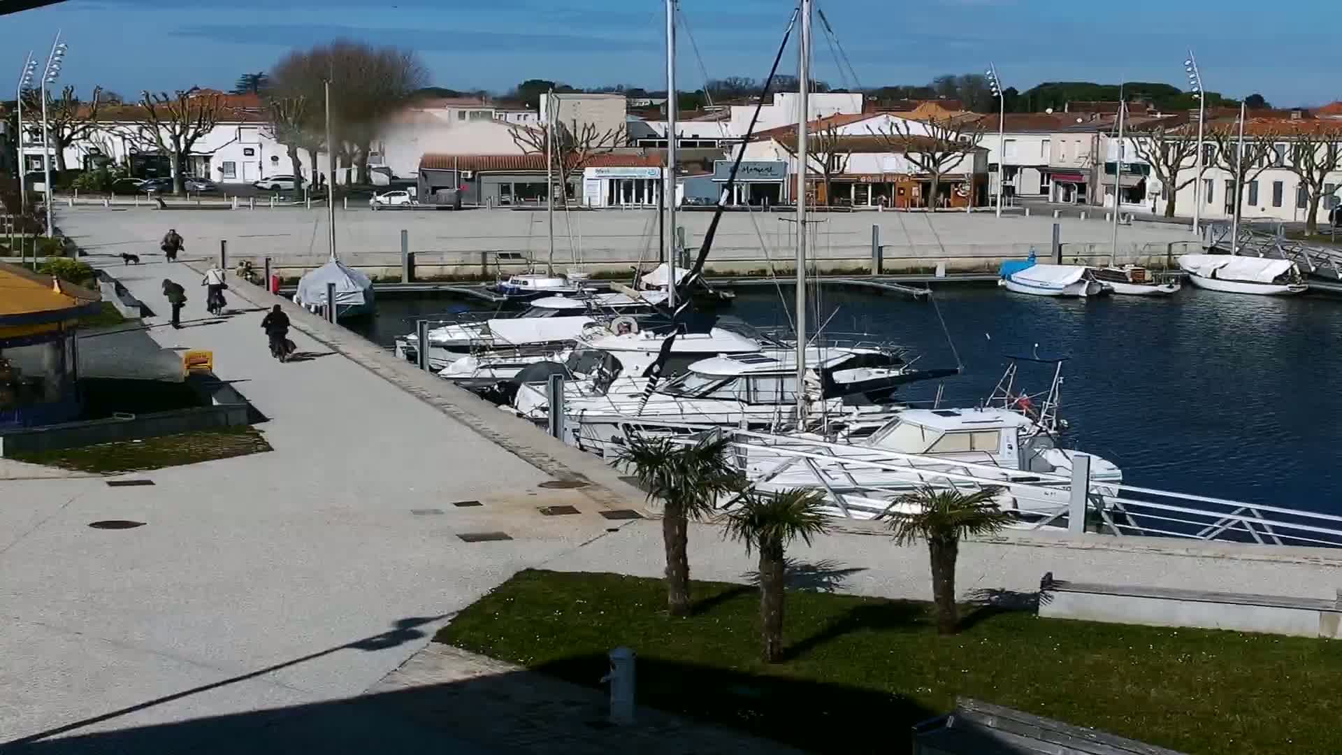 A sunny day reveals a marina filled with sailboats and motorboats, alongside a paved walkway where people are walking and cycling.