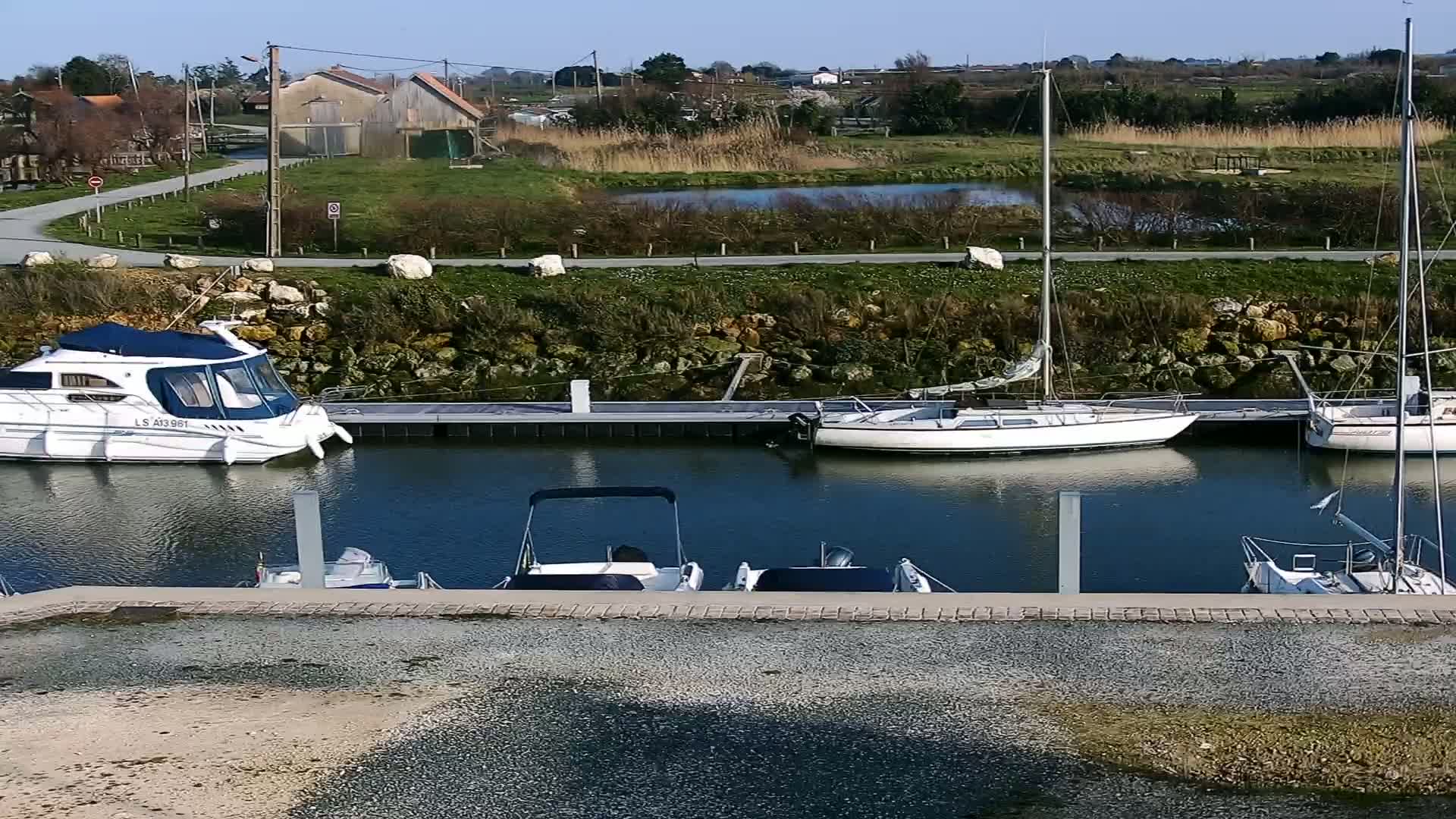 Several boats are moored at a marina on a sunny day, with calm water and grassy areas visible in the background.