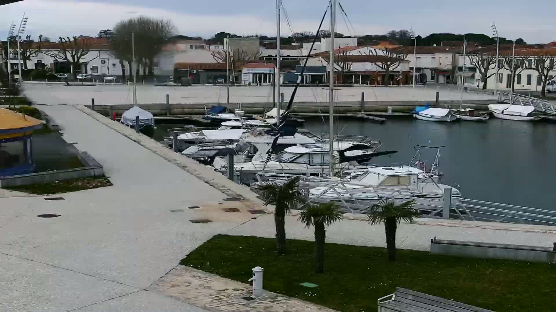 A marina filled with several boats is situated next to a paved walkway and a town under an overcast sky.