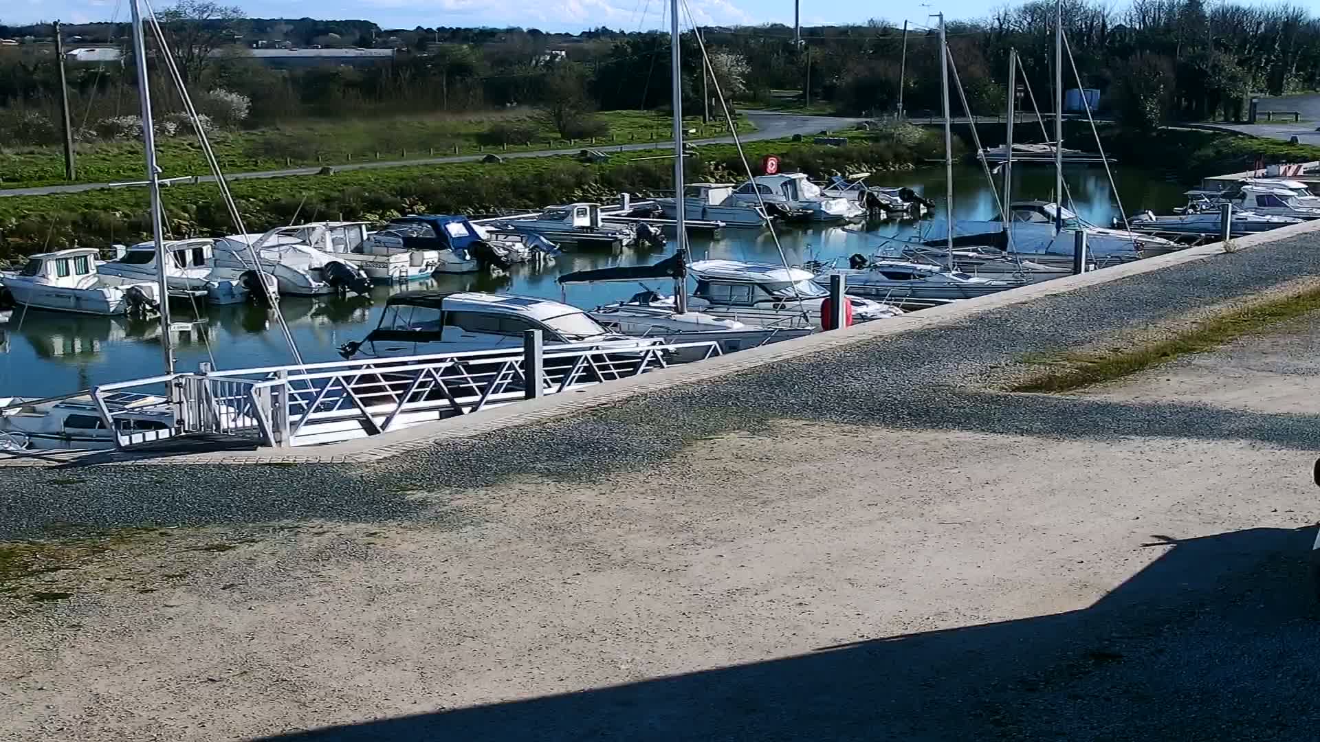 A marina filled with motorboats and sailboats on a sunny day.