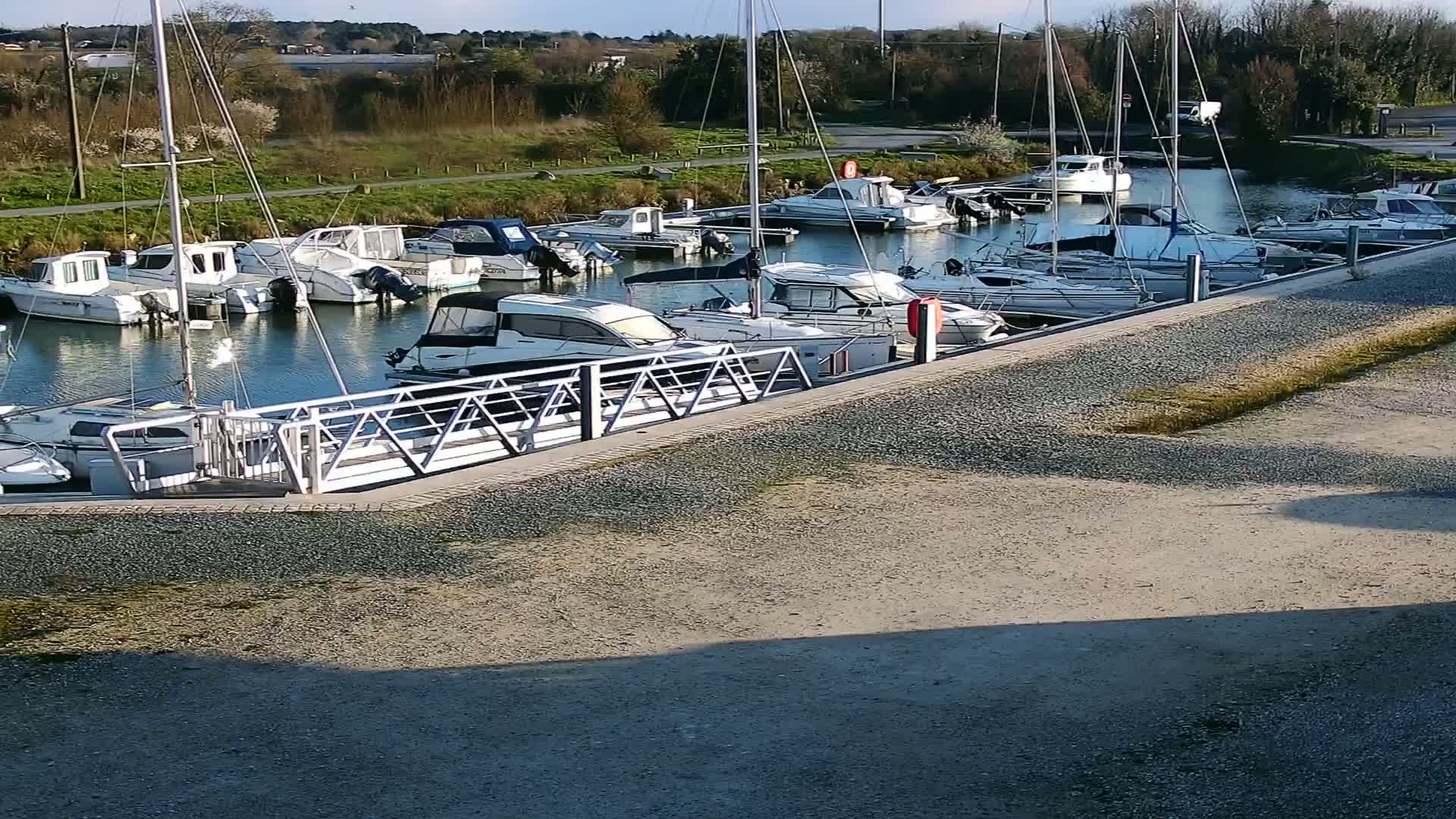 A marina filled with numerous white motorboats and sailboats is docked on a calm body of water under a sunny sky.