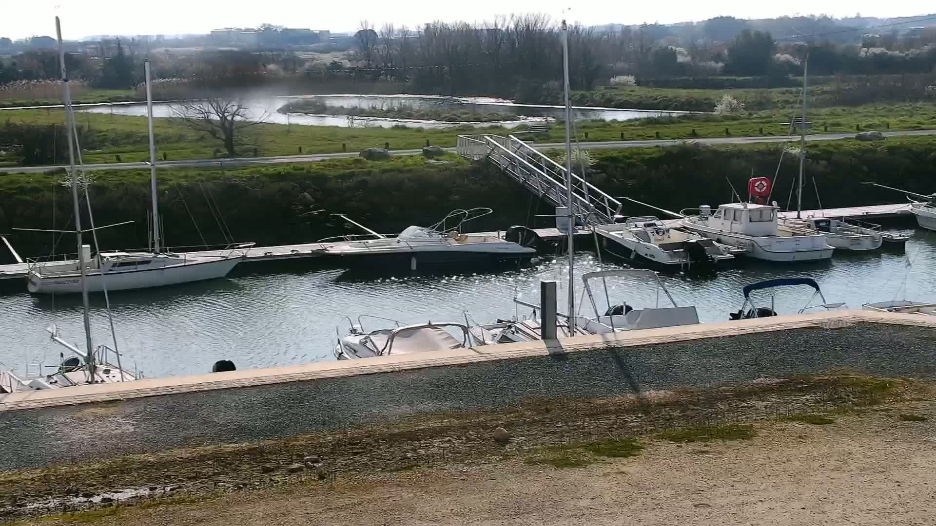 Several sailboats and motorboats are docked in a calm marina on a sunny day, with a grassy area and a small waterway visible in the background.