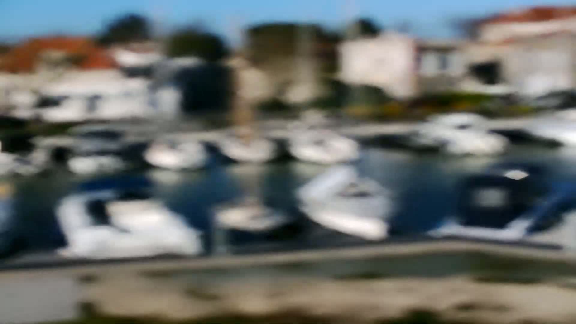 A blurry image shows numerous boats docked in a marina on a sunny day, with houses visible in the background.