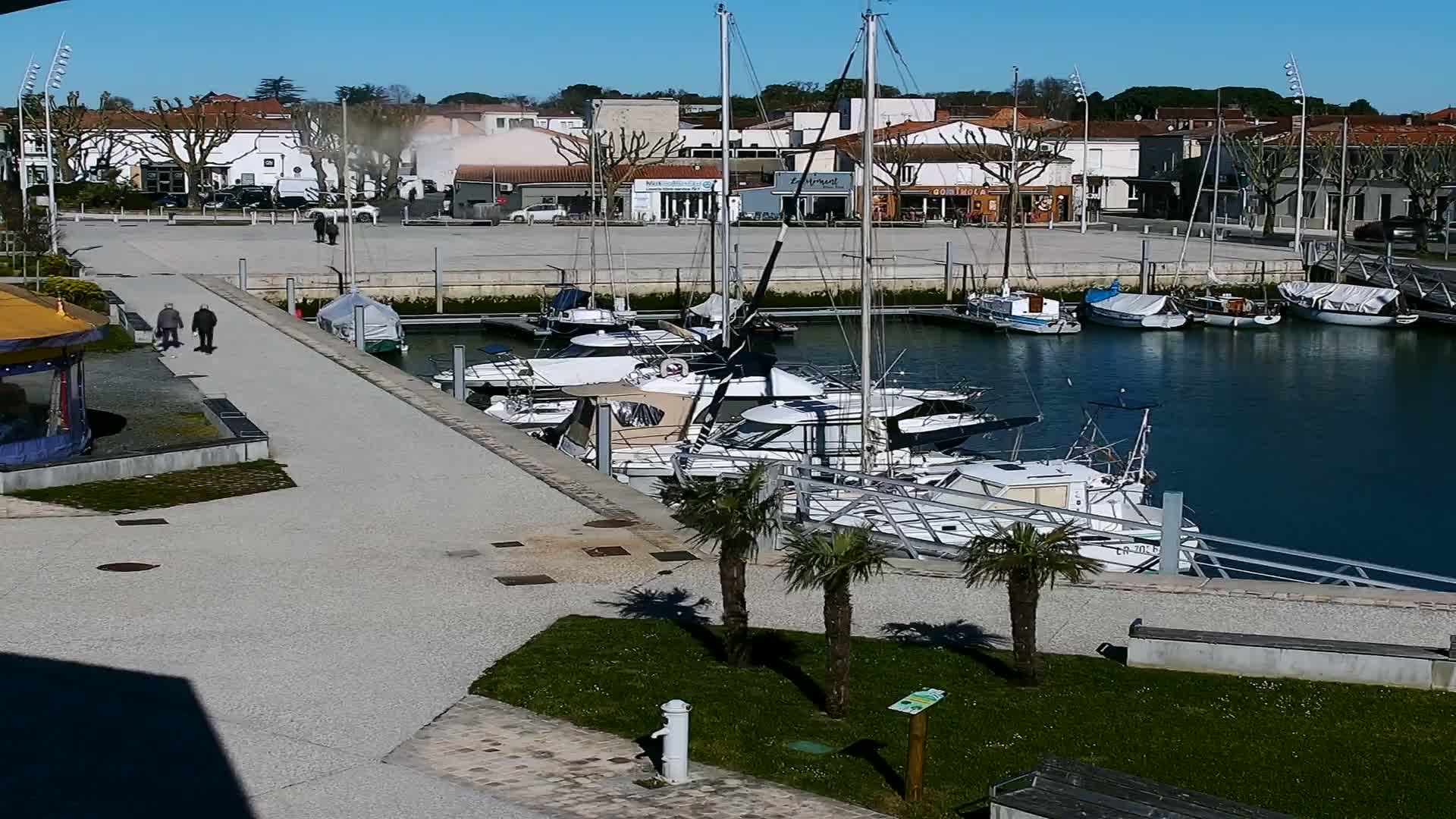 A marina filled with sailboats and motorboats on a sunny day, with a paved walkway and small palm trees alongside it, and a few people walking in the distance.