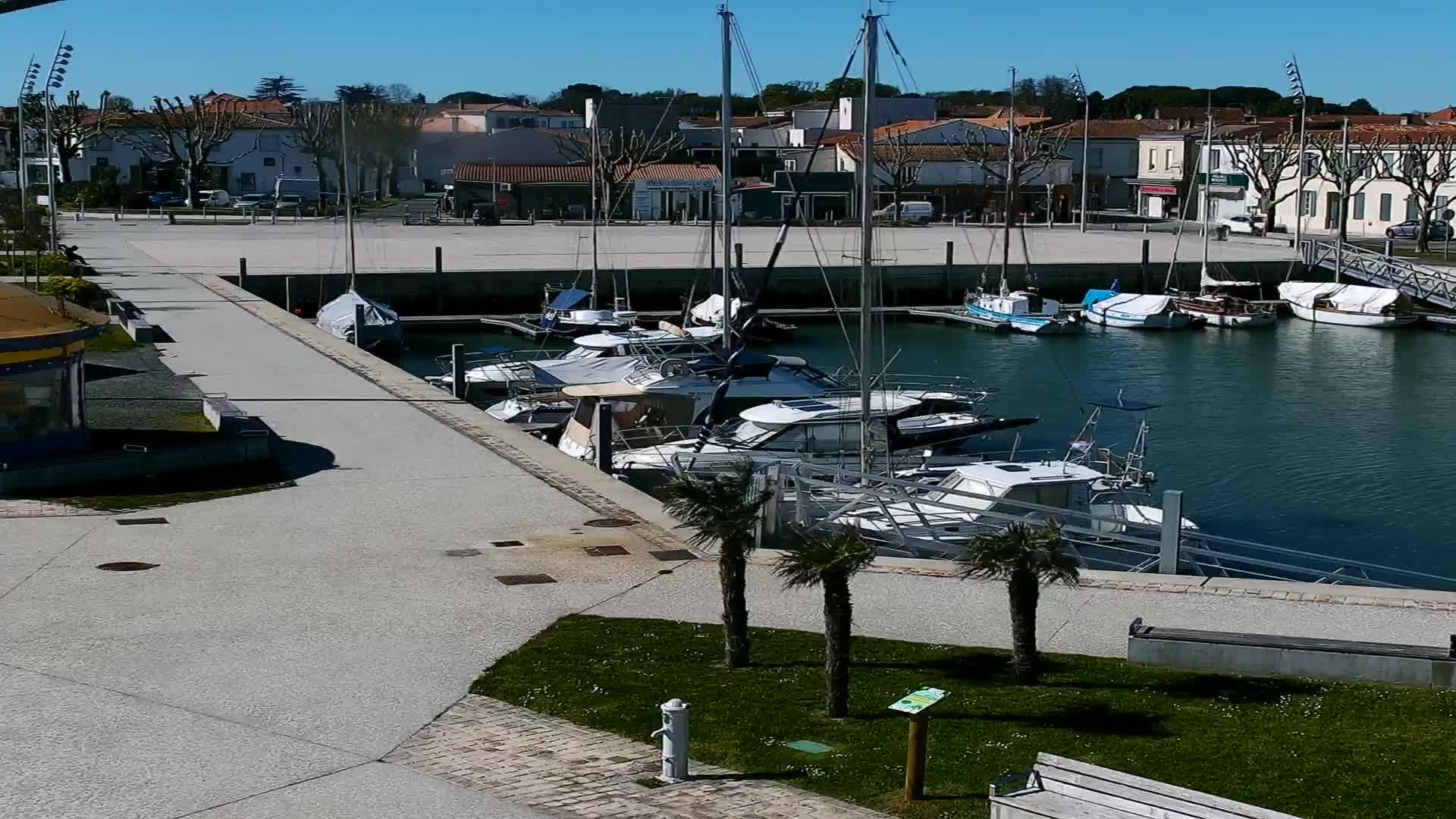 A marina filled with docked boats on a sunny day, next to a paved walkway and a small park with palm trees.