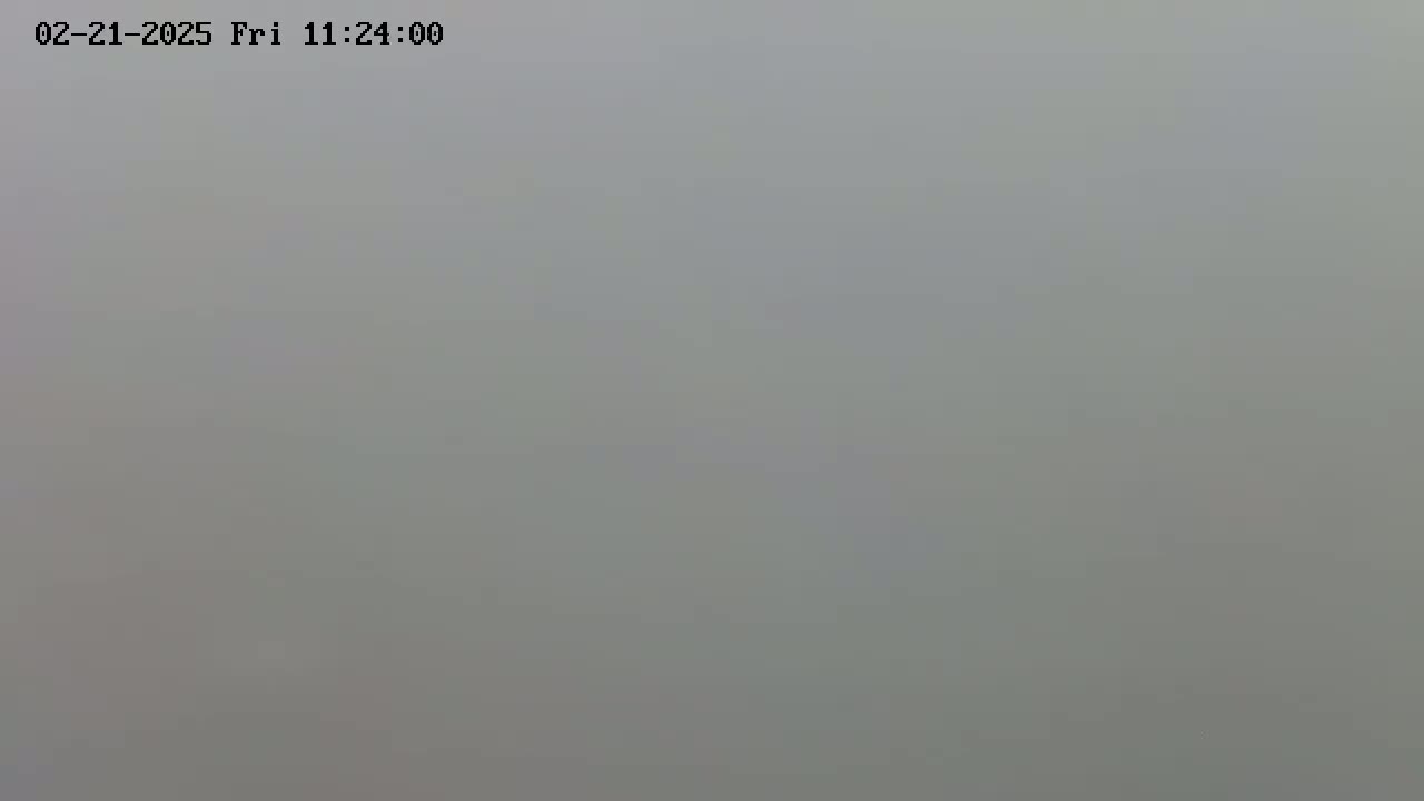 A uniformly gray, foggy scene is visible.