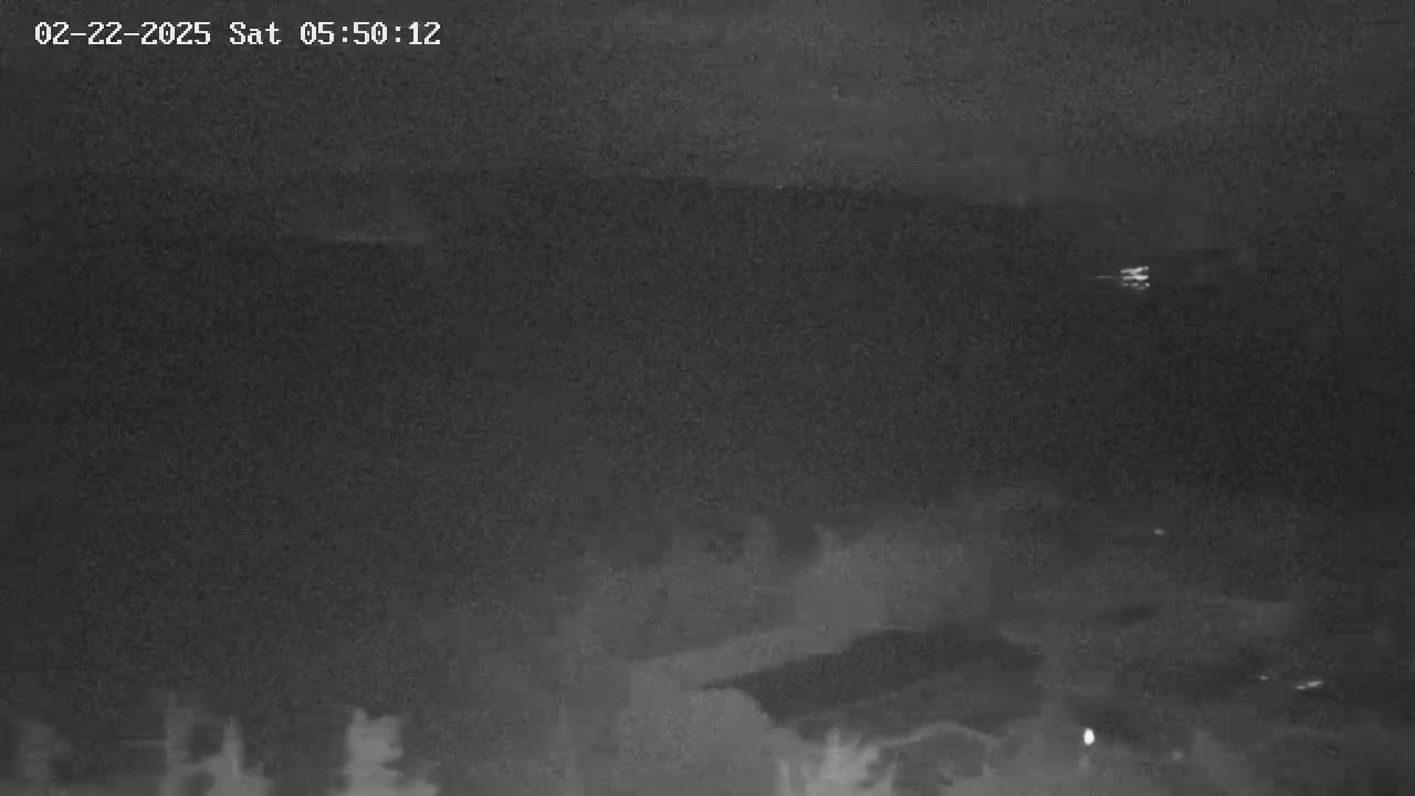 A nighttime, low-light image shows a dark, possibly forested landscape under a cloudy sky.