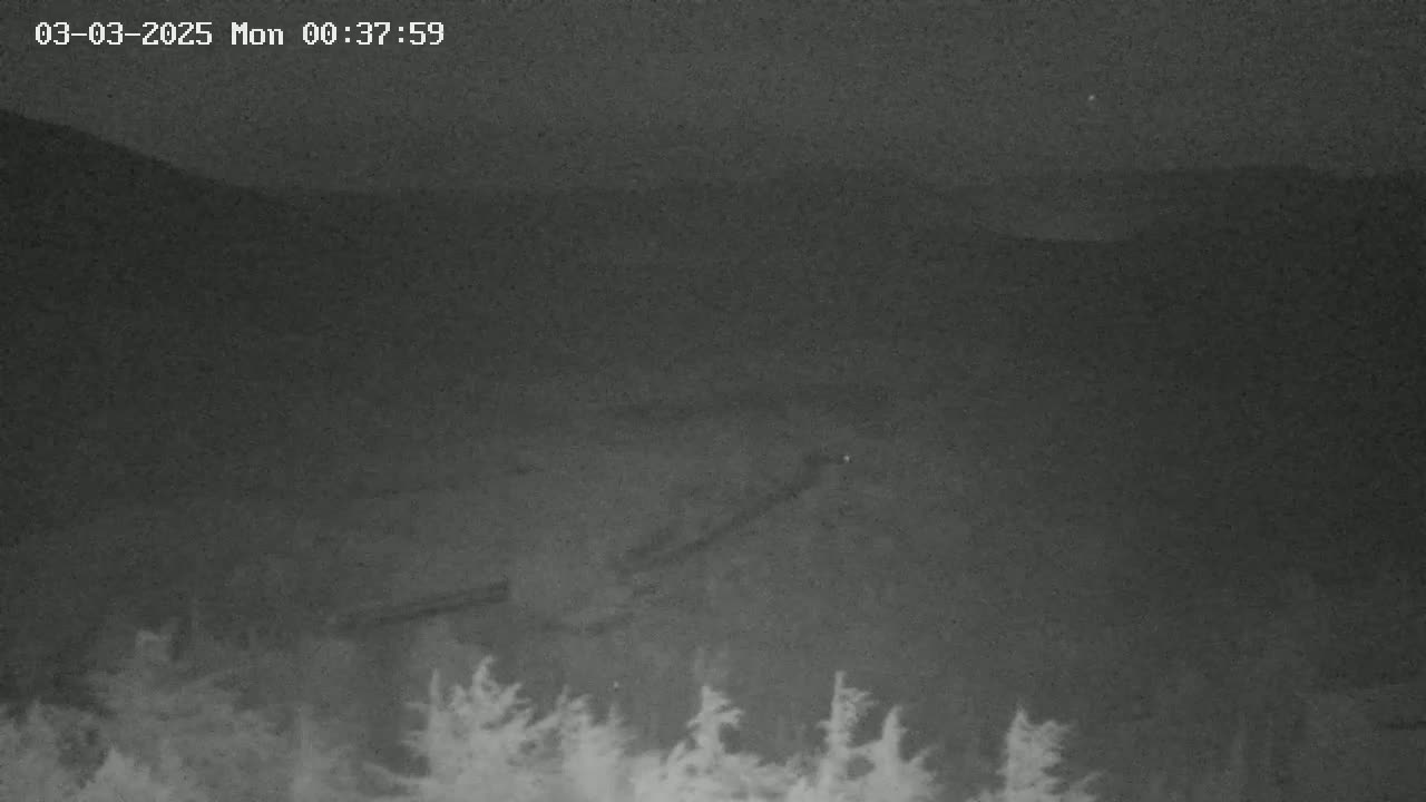 A nighttime, low-light image shows a dark, hilly landscape with a line of trees in the foreground.