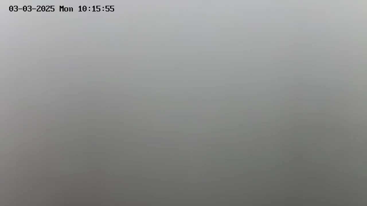 A solid, light gray field of fog obscures any visible details.