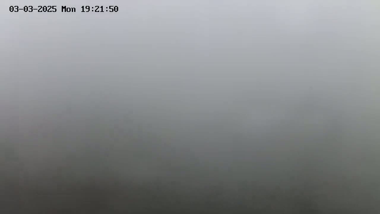 A very foggy outdoor scene is visible.