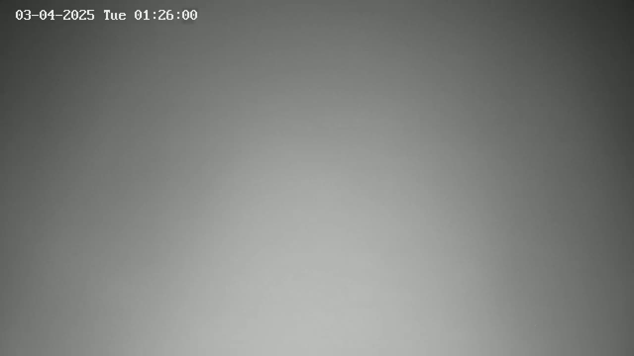 The image shows a solid, uniformly gray background.
