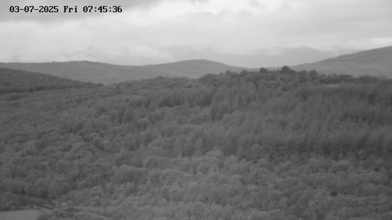 A grayscale image shows a heavily wooded landscape of rolling hills under an overcast sky.