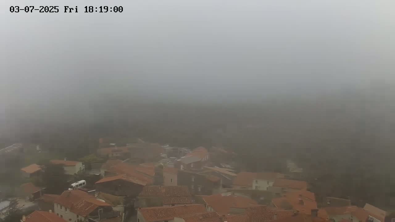 A foggy view of a village with red-tiled roofs nestled among trees.