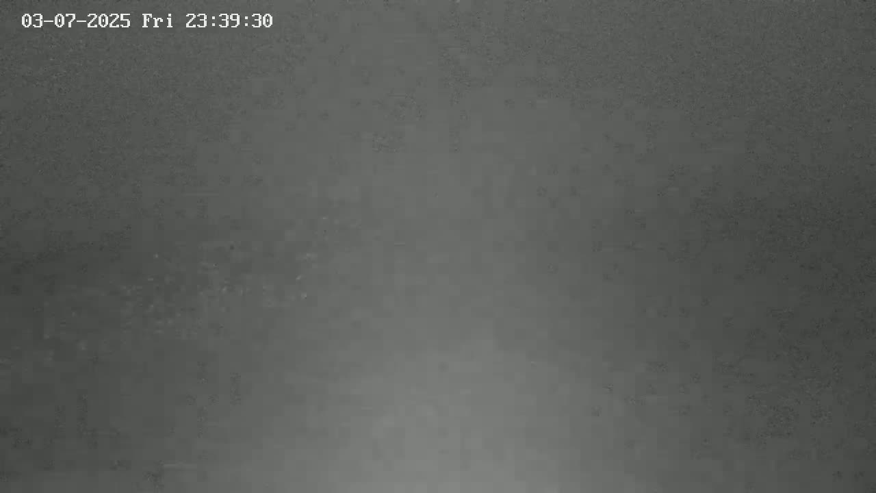 A dark gray, grainy surface is visible, possibly under nighttime conditions.
