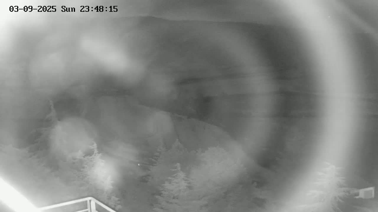 A blurry nighttime image shows a dark, possibly rocky hillside partially obscured by fog or mist, with a few evergreens at the bottom.