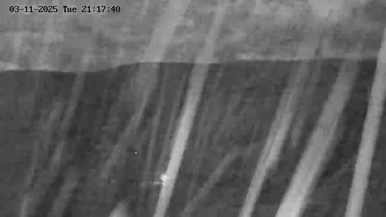 A grainy, low-light image shows a dark, possibly wooded area with streaks of brighter illumination, possibly from rain or snow at night.