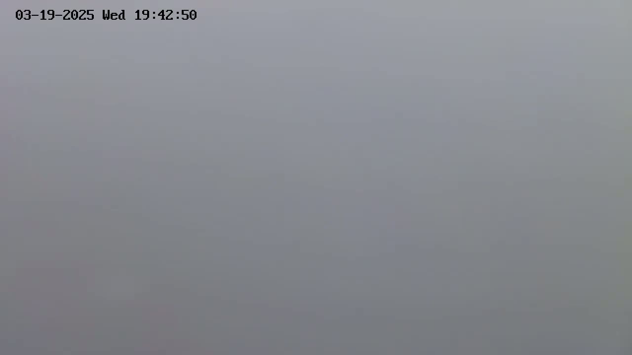 A uniformly gray, foggy scene is visible.
