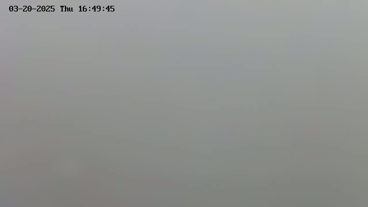 A solid, light gray expanse fills the image, suggesting heavy fog or mist.