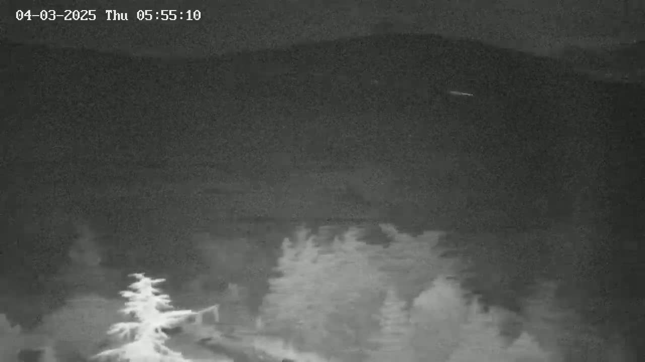 A nighttime, low-light image shows a dark sky over a line of evergreens in the foreground, with a faint light possibly a distant aircraft in the mid-ground.