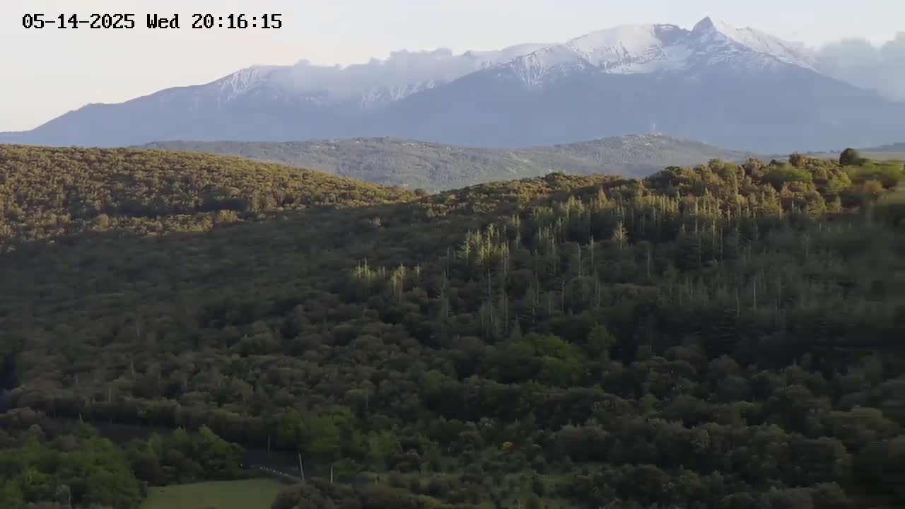A lush green forest blankets rolling hills in the foreground, with a snow-capped mountain range visible in the hazy distance under a mostly clear sky.