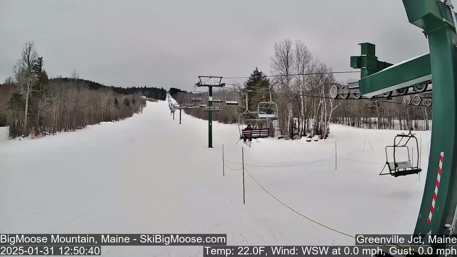 A ski lift ascends a snow-covered slope on an overcast day.